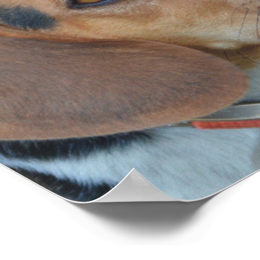 Beagle Best Friends Poster (Hoek)