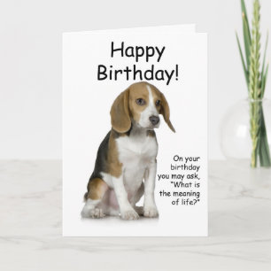 Beagle Birthday Card Kaart
