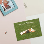 Beagle Birthday Kaart (Funny)<br><div class="desc">Een Beagle Birthday kaart met een kleine humor erin. De perfecte kaart voor een Beagle-minnaar.</div>