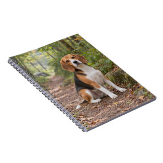 Beagle-boswandelpad-spiraalnotitieboek Notitieboek