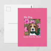 Beagle Briefkaart (Voorkant / Achterkant)