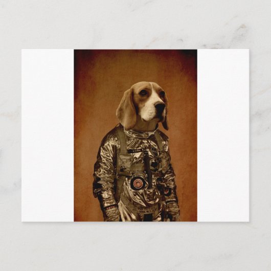 Beagle Briefkaart (Voorkant)