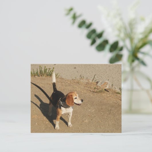 Beagle Briefkaart (Staand voorkant)