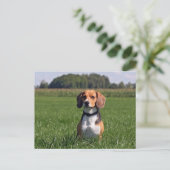 beagle briefkaart (Staand voorkant)