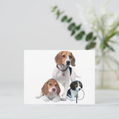 Beagle Briefkaart (Staand voorkant)