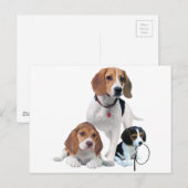 Beagle Briefkaart (Voorkant / Achterkant)