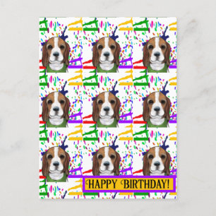 Beagle  briefkaart