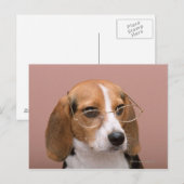 Beagle Briefkaart (Voorkant / Achterkant)