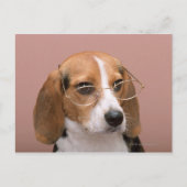Beagle Briefkaart (Voorkant)