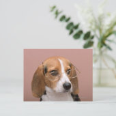 Beagle Briefkaart (Staand voorkant)
