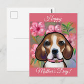 Beagle           briefkaart (Voorkant / Achterkant)