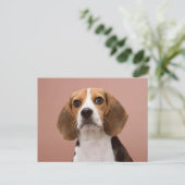 Beagle Briefkaart (Staand voorkant)