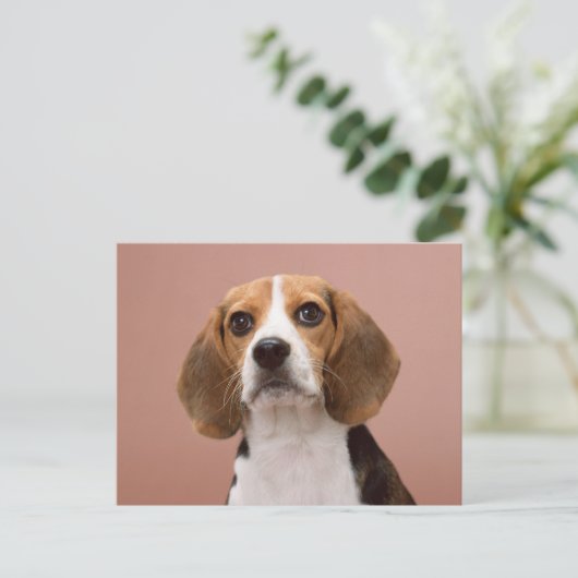 Beagle Briefkaart (Staand voorkant)