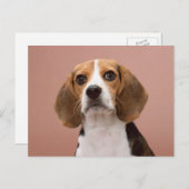 Beagle Briefkaart (Voorkant / Achterkant)