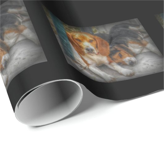 Beagle Brothers Cadeaupapier (Rol Hoek)