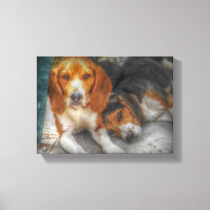 Beagle Brothers Canvas Afdruk