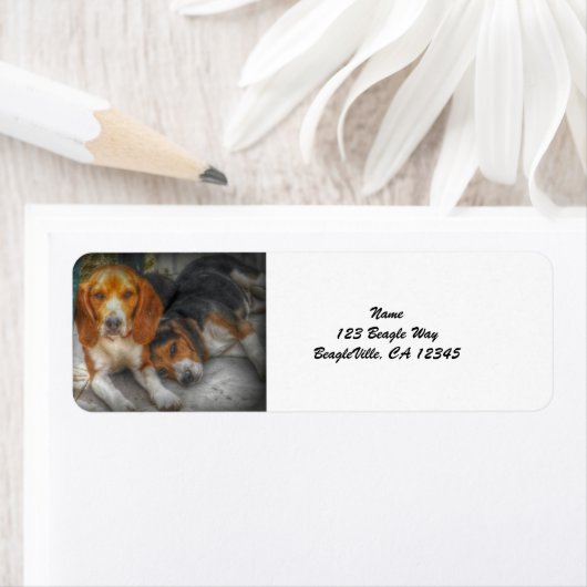 Beagle Brothers Etiket (Insitu)