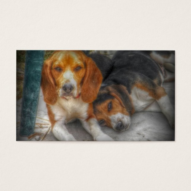 Beagle Brothers Visitekaartje (Voorkant)