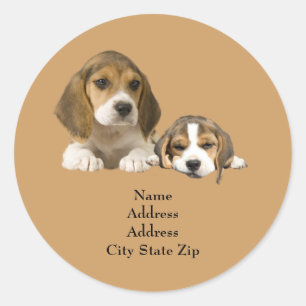 Beagle Buddies Adres Etiket