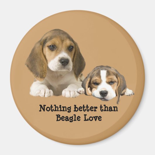 Beagle Buddies Magnet (Voorkant)