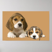 Beagle Buddies Print (Voorkant)