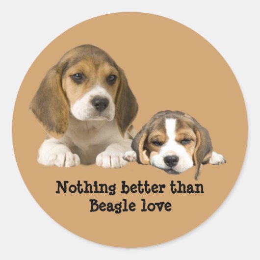 Beagle Buddies Sticker (Voorkant)
