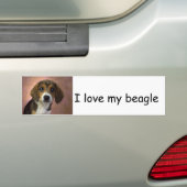 Beagle Bumpersticker (Op auto)