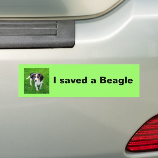 Beagle Bumpersticker (Op auto)