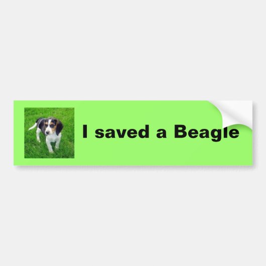 Beagle Bumpersticker (Voorkant)