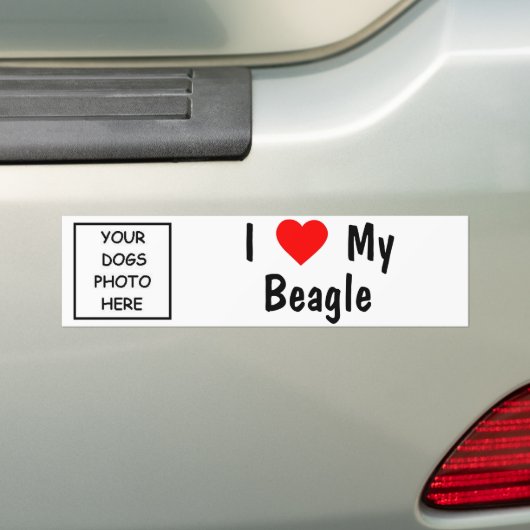 Beagle Bumpersticker (Op auto)