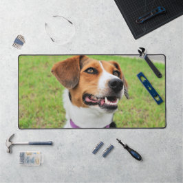 Beagle Bureaumat