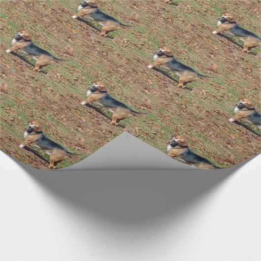 Beagle Cadeaupapier (Hoek)