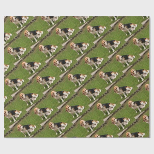 Beagle Cadeaupapier (Vlak)