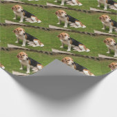 Beagle Cadeaupapier (Hoek)