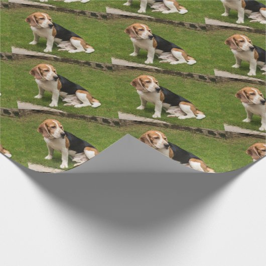 Beagle Cadeaupapier (Hoek)