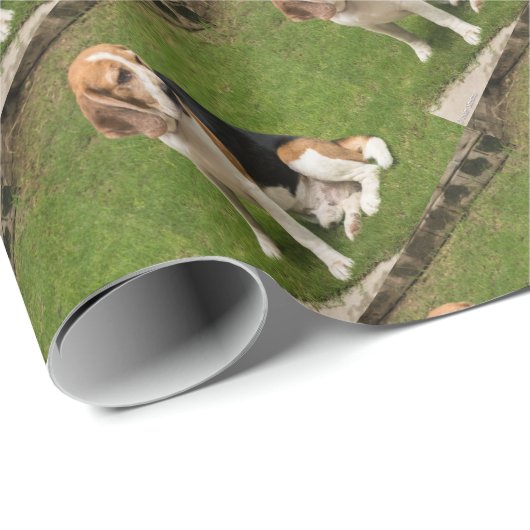 Beagle Cadeaupapier (Rol Hoek)