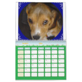 Beagle Calander Kalender (Mar 2026)
