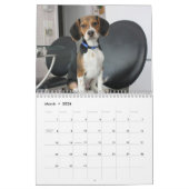Beagle Calander Kalender (Mar 2026)