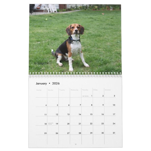 Beagle Calander Kalender (Jan 2026)