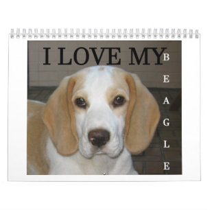 Beagle Calender Kalender