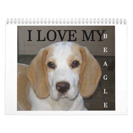 Beagle Calender Kalender (Hoes)