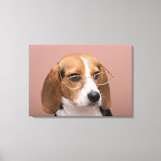 Beagle Canvas Afdruk (Voorkant)