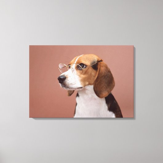 Beagle Canvas Afdruk (Voorkant)
