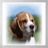 Beagle Canvas afdrukken Poster (Voorkant)