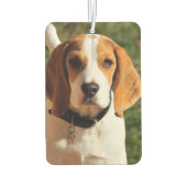 Beagle Car Air Freshener Luchtverfrisser (Achterkant)