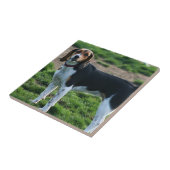 Beagle Ceramic Tile Tegeltje (Zijkant)