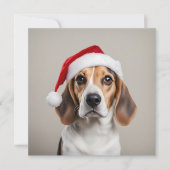 Beagle Christmas Kaart (Voorkant)