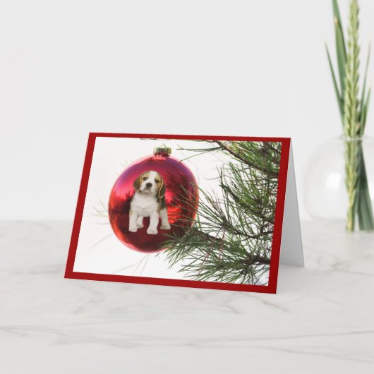 Beagle Christmas Kaart Ball (Voorkant)