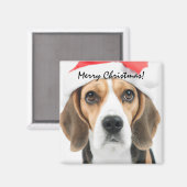 Beagle Christmas Magneet (Voorkant / Achterkant)