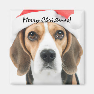 Beagle Christmas Magneet